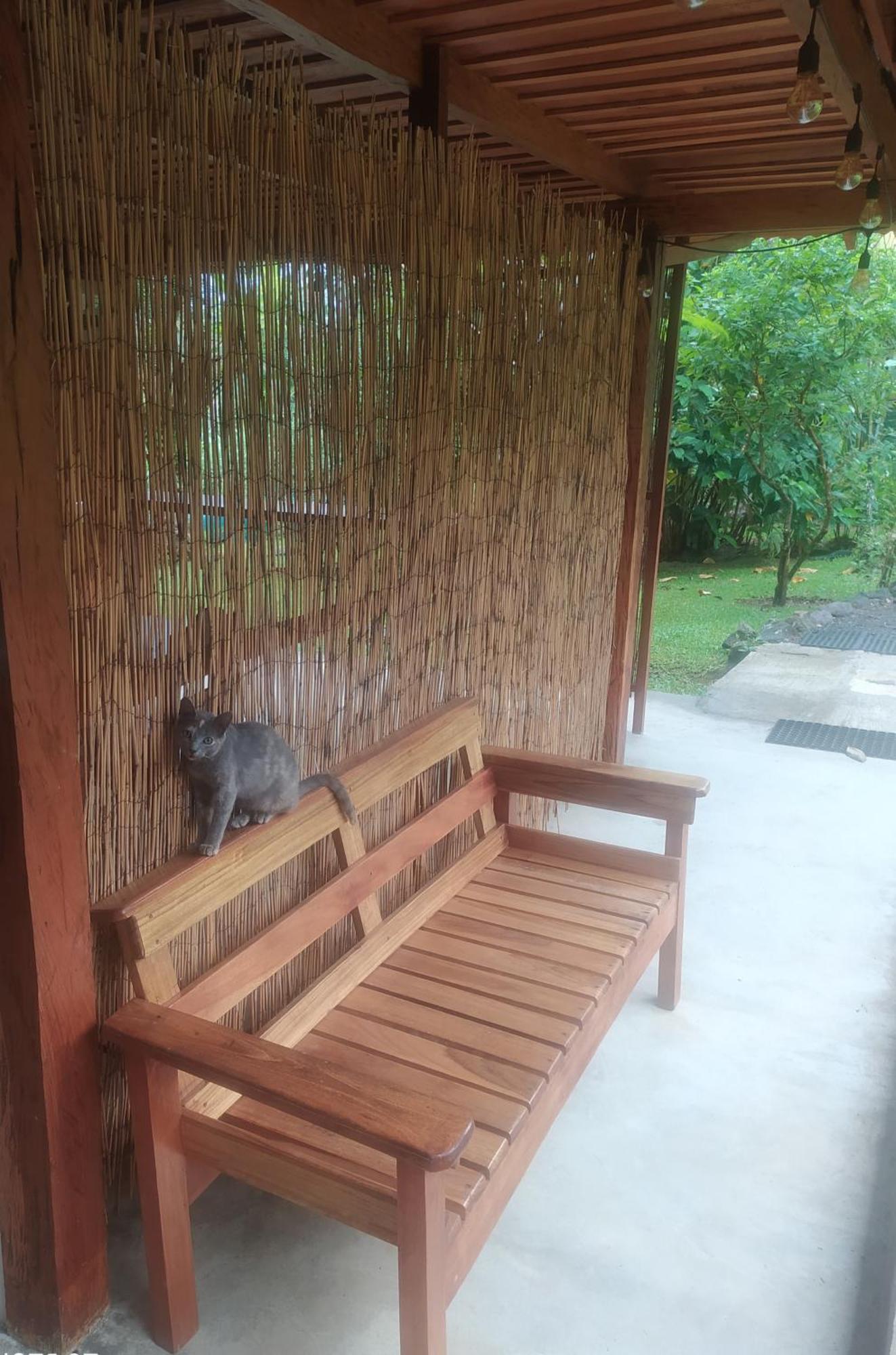 Mineral River Eco Village Upala ภายนอก รูปภาพ